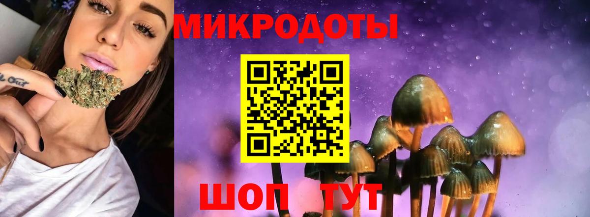 Псилоцибиновые грибы прущие грибы Ноябрьск