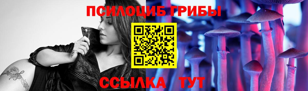 Ноябрьск  Псилоцибиновые грибы прущие грибы  Вход с VPN  Галлюциногенные грибы прущие грибы 
